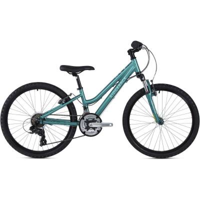 Ridgeback Destiny Girls Bike 24 Inch Wheel